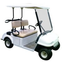 2-seater-golfcart_1-500x500