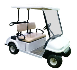 2-seater-golfcart_1-500x500
